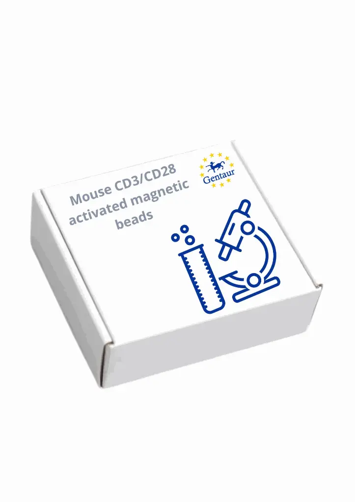 human CD3/CD28 activates magnetic beads