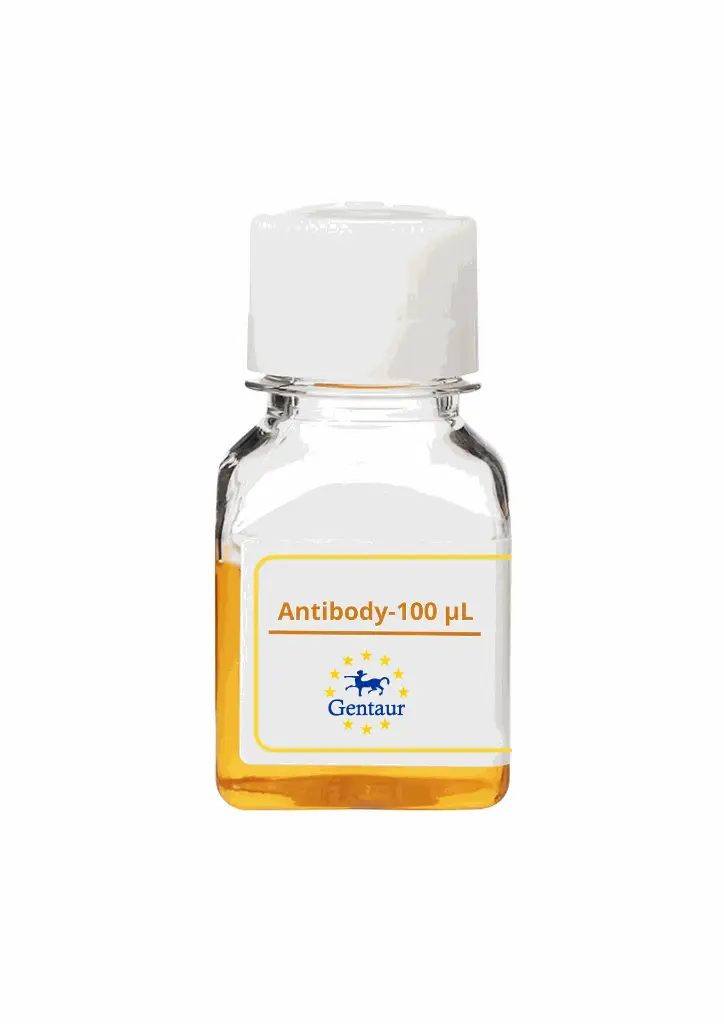 PTPRJ Antibody