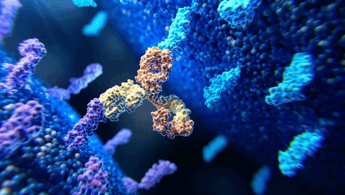 RIN2 rabbit pAb - 50 μL