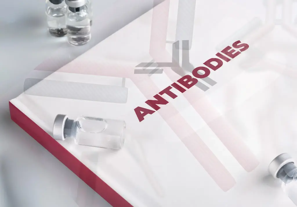 Anti-AMDHD1 - Antibody