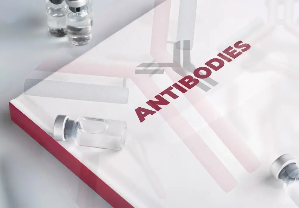 Alkaline Phosphatase Conjugated Affinity Purified anti-Hamster IgG [H&L] [Goat] - Antibody