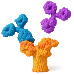  ST3N Rabbit pAb (50 µl)