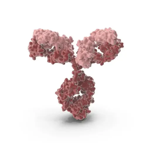 [ABPEP-20SA] Custom Anti-Peptide antibodies ( up to 20-aa, conjugation, 1 sheep, ELISA, aff pure); Add $895 for additional sheep - 1 set