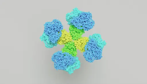 [DF6467] HP Antibody   